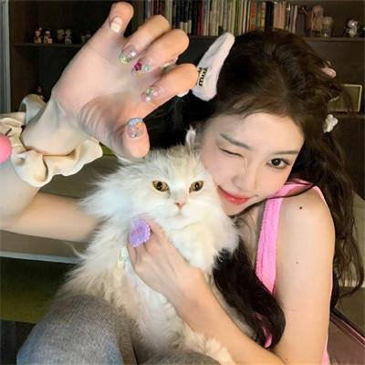 20美元海报