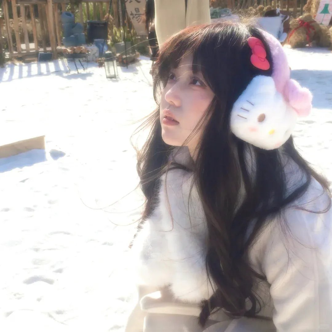 年少日记海报